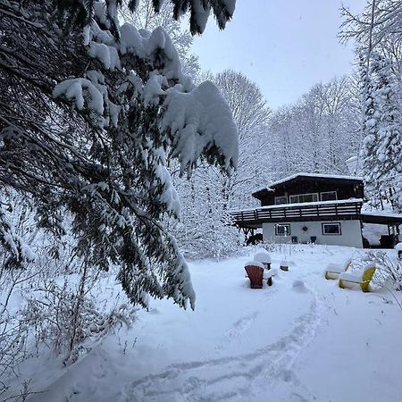 Chalet Dans Les Arbres. 3 Ch. /Trees House 3Bdr Lac Sainte-Marie Екстериор снимка