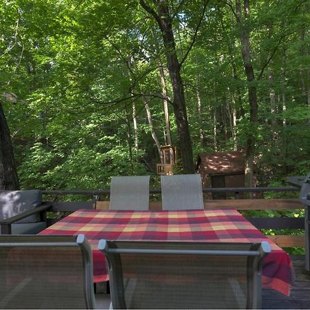 Chalet Dans Les Arbres. 3 Ch. /Trees House 3Bdr Lac Sainte-Marie Екстериор снимка