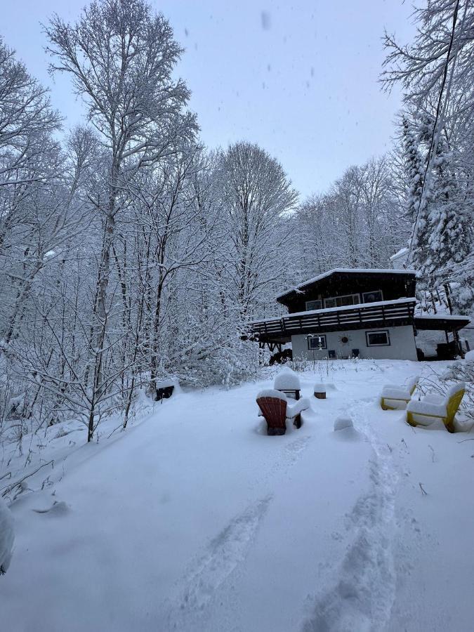 Chalet Dans Les Arbres. 3 Ch. /Trees House 3Bdr Lac Sainte-Marie Екстериор снимка