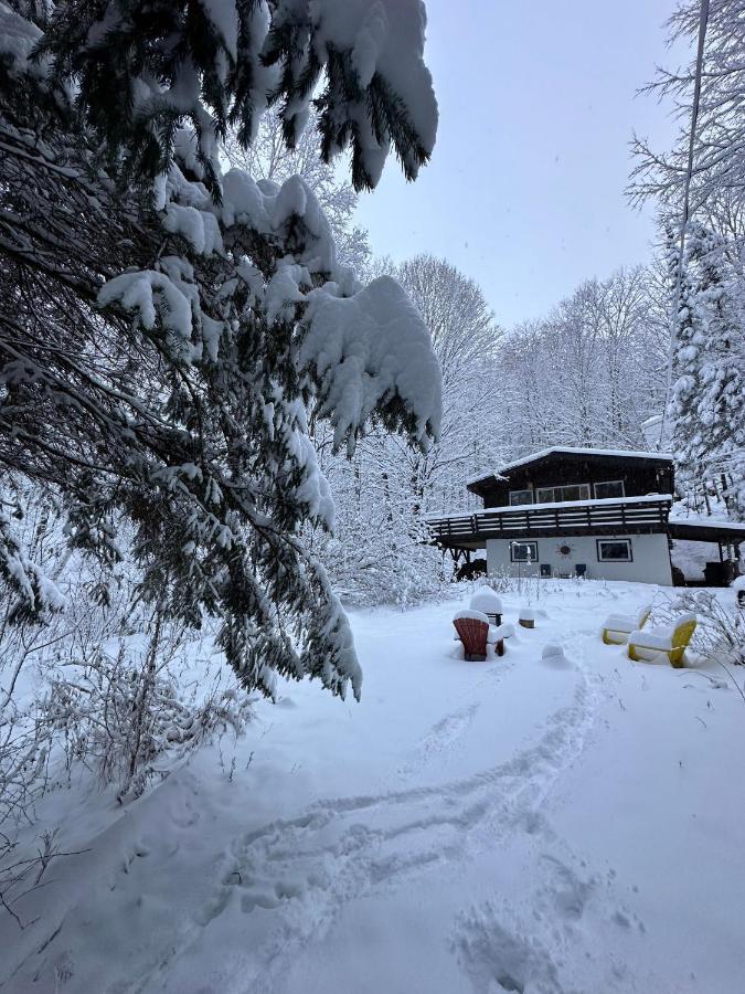 Chalet Dans Les Arbres. 3 Ch. /Trees House 3Bdr Lac Sainte-Marie Екстериор снимка